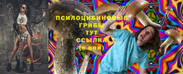 твердый Кинешма